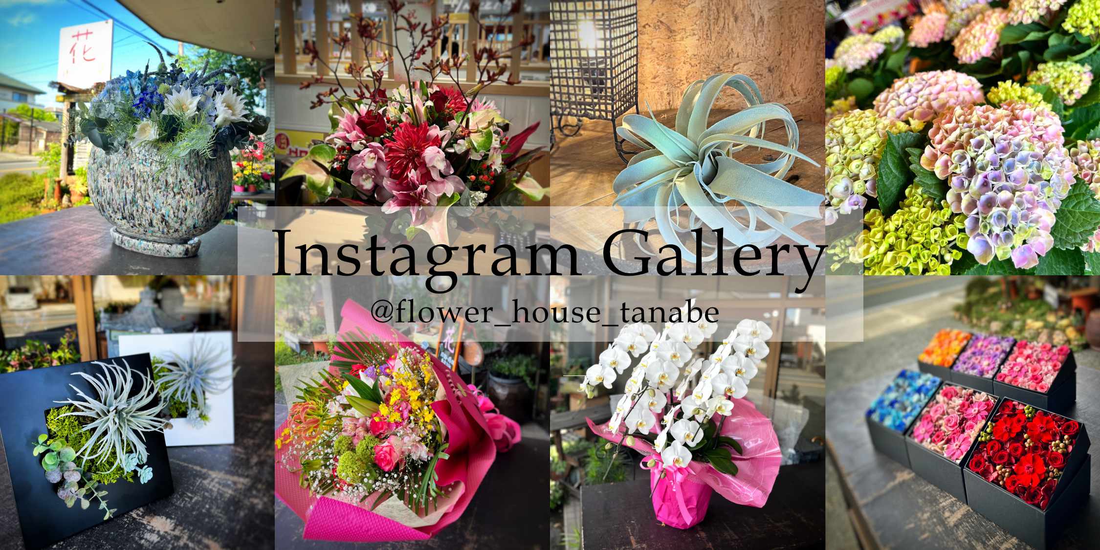 INSTAGRAM | 豊橋の花屋、フラワーハウスたなべ