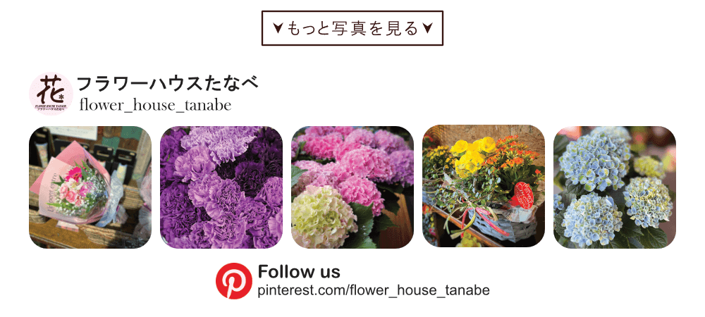 Pinterest mothersday|豊橋の花屋フラワーハウスたなべ
