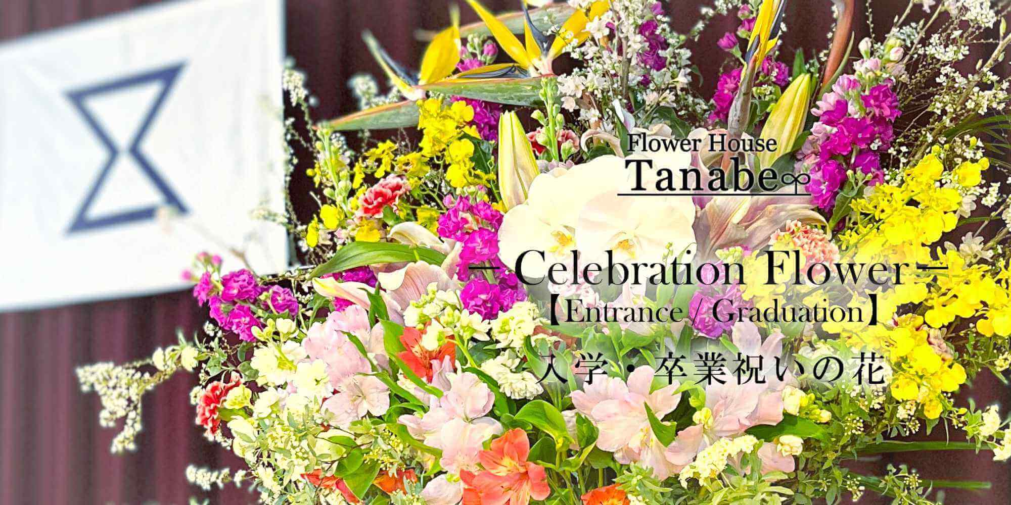 入学・卒業祝いの花 / 豊橋の花屋、フラワーハウスたなべ