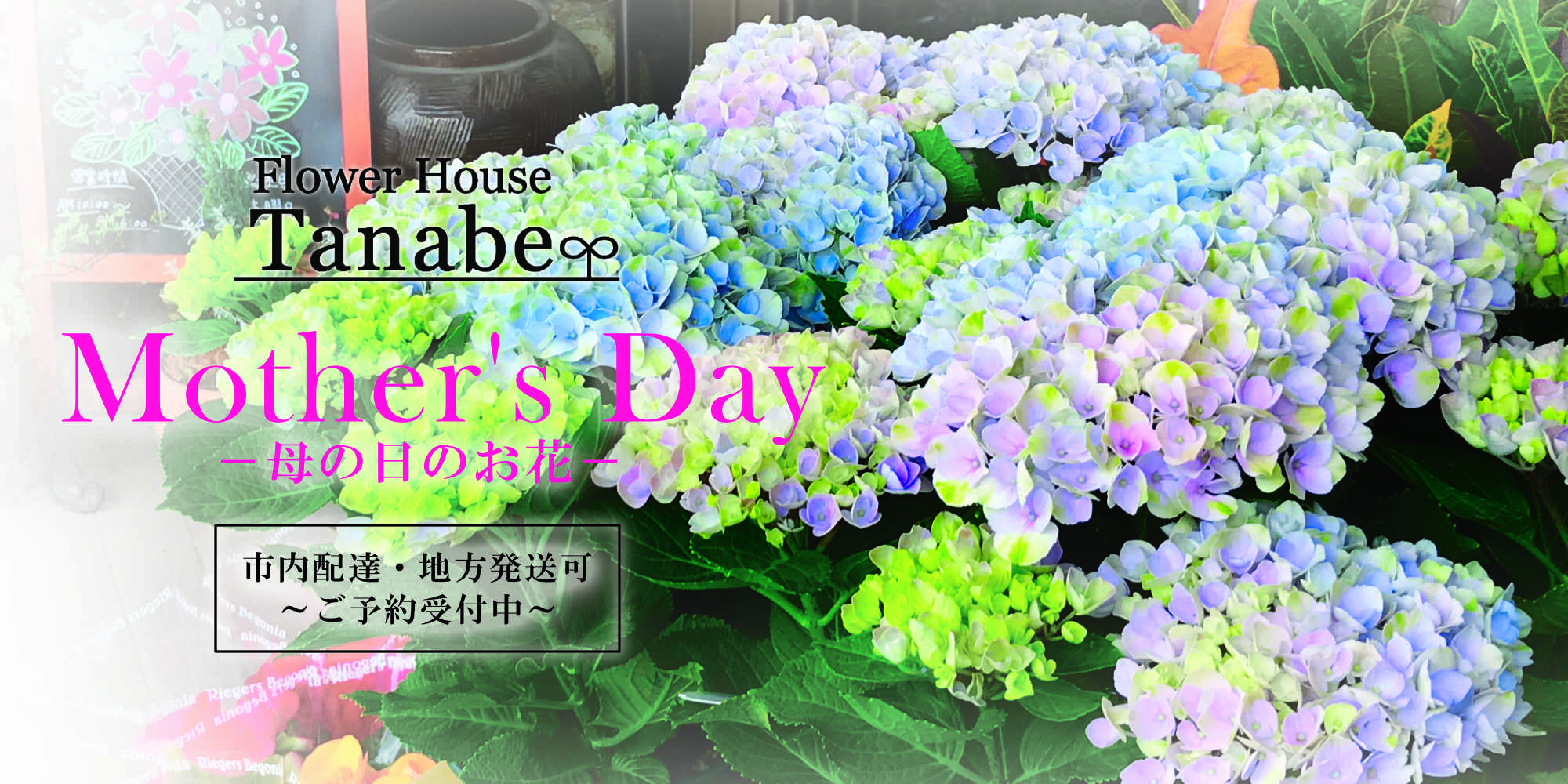 母の日の花 / 豊橋の花屋、フラワーハウスたなべ