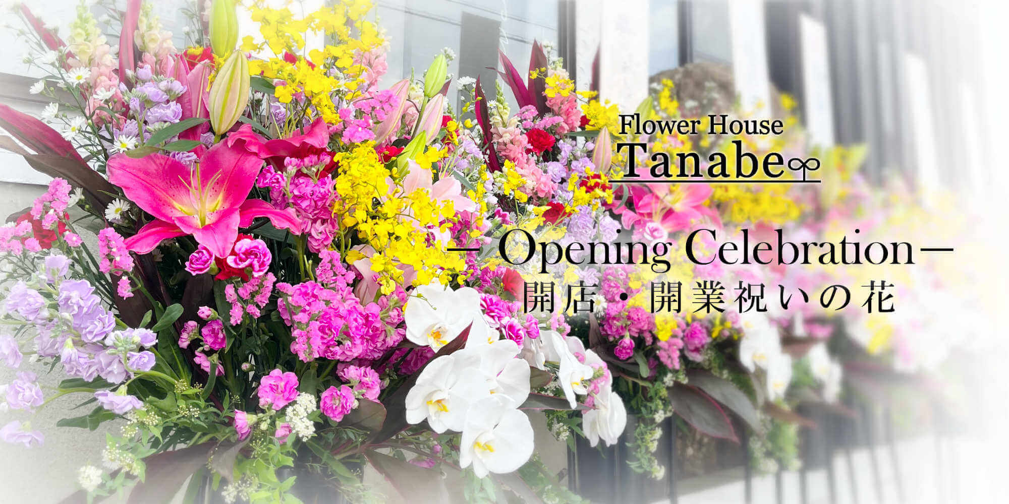 開店祝いの花 / 豊橋の花屋、フラワーハウスたなべ