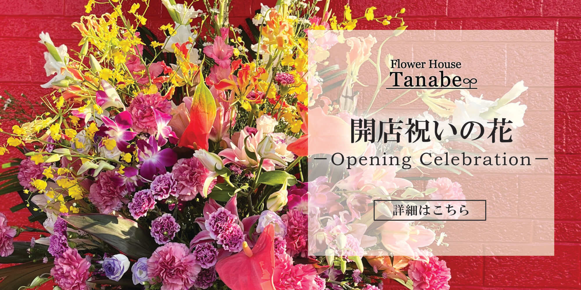 開店祝いの花 | 豊橋の花屋、フラワーハウスたなべ