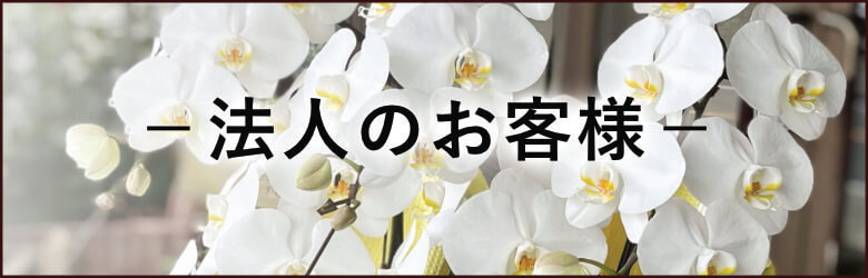 法人のお客様 | 豊橋の花屋、フラワーハウスたなべ